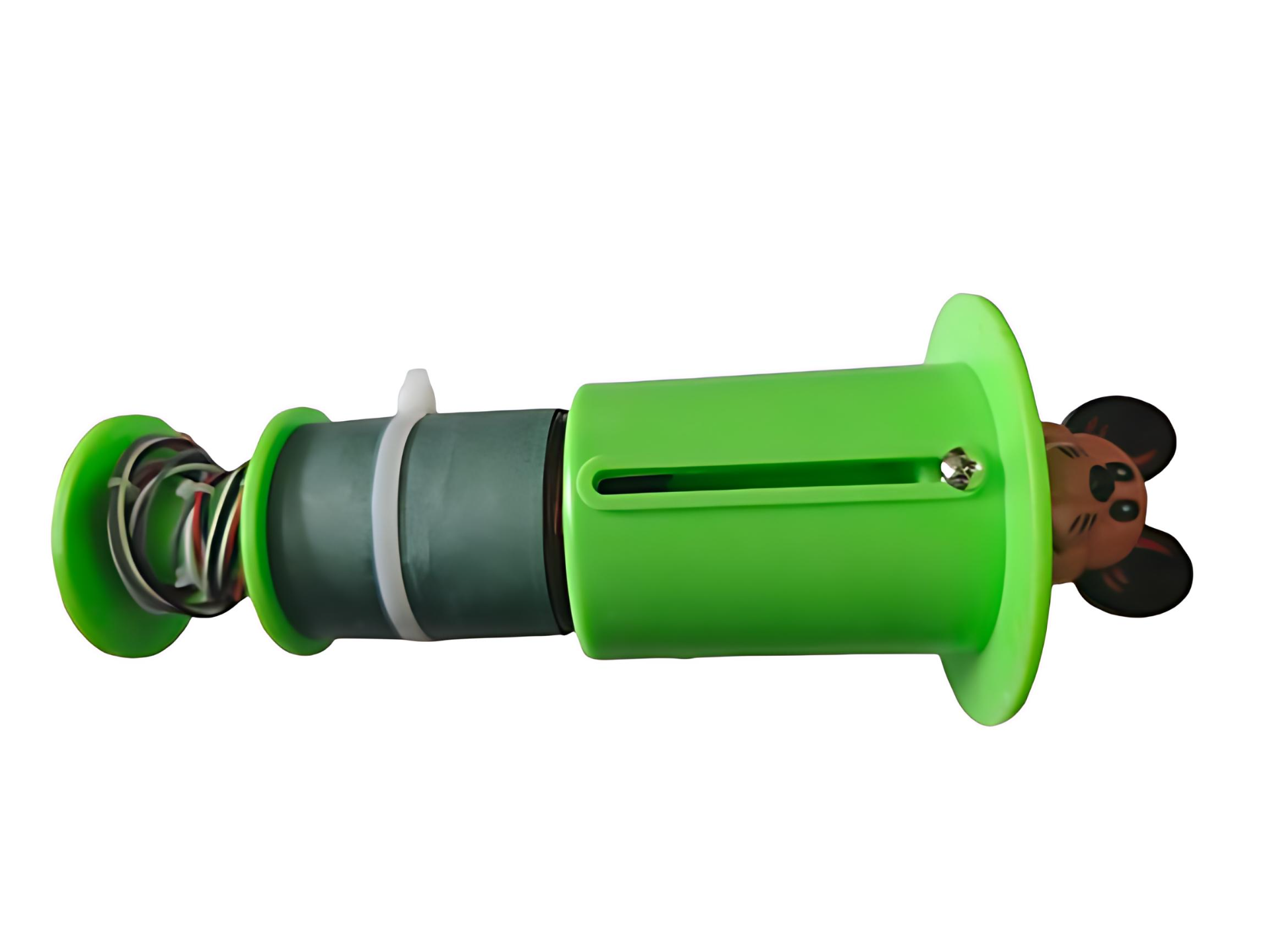 frog_coil_enhanced_2-removebg_PhotoGrid