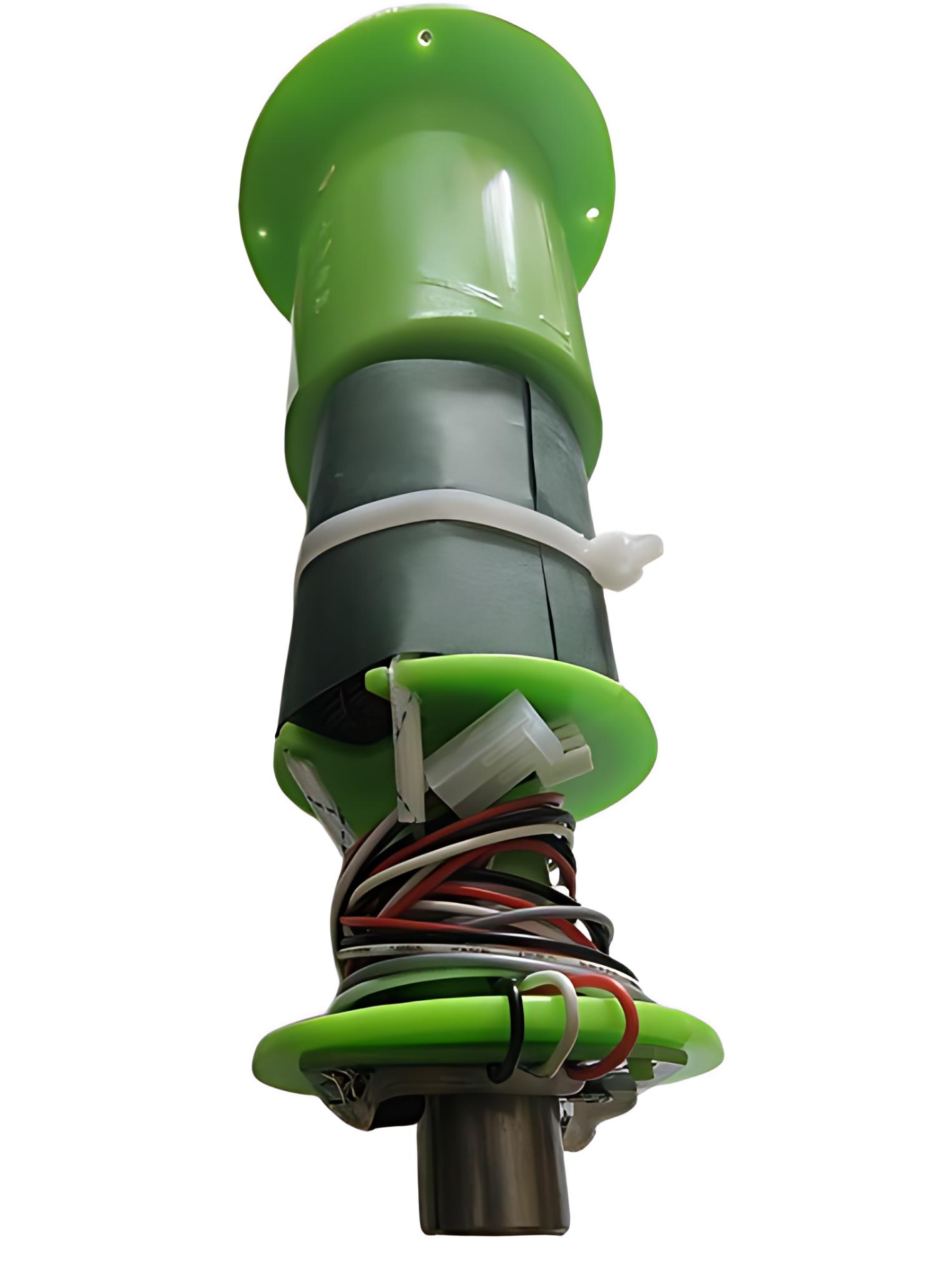 frog_coil_nehncaed_photo-removebg_PhotoGrid